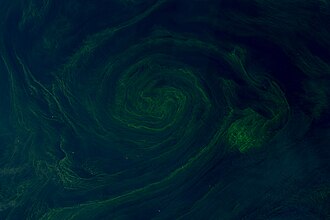 A Swirl of a Day for Phytoplankton (154086)