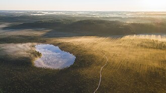 Udu lahkub järvelt