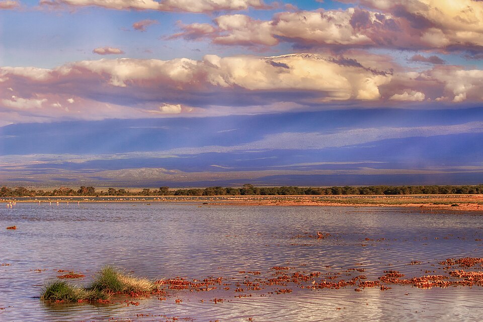 File:Lake Amboseli, Mount Kilimanjaro (46710495581).jpg