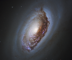 NGC 4826 - HST
